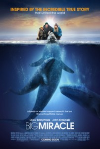 Big Miracle - a film about grey whales
